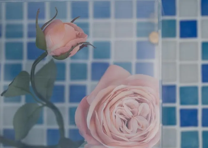 Appartement Sea View House *