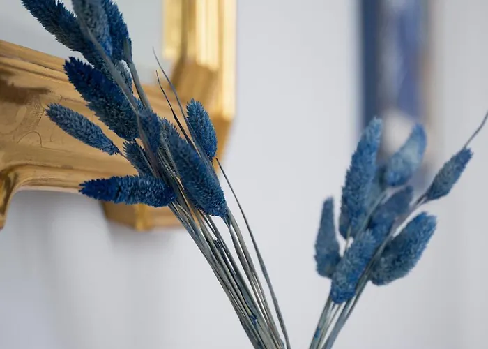 Sea View House Apartamento